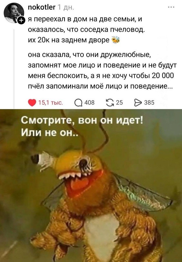 Картиночки, баянчики 15 июня