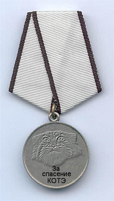 Спасли кота!