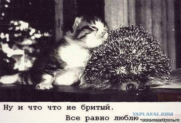 Позитивные картинки