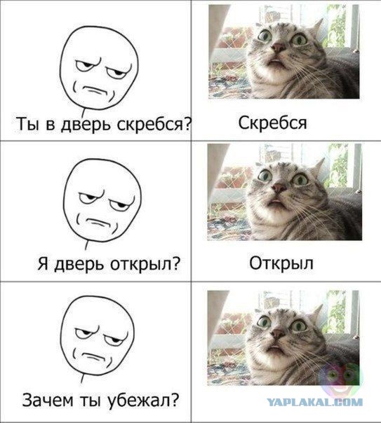 Пятница без хохлосрачей!?
