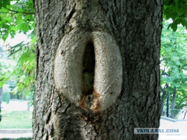 Время для отдыха