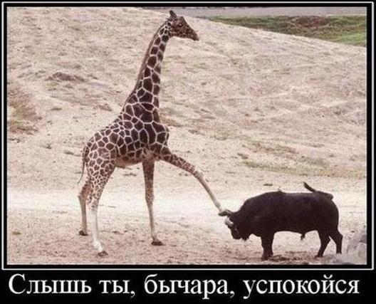 Картинки разные 2