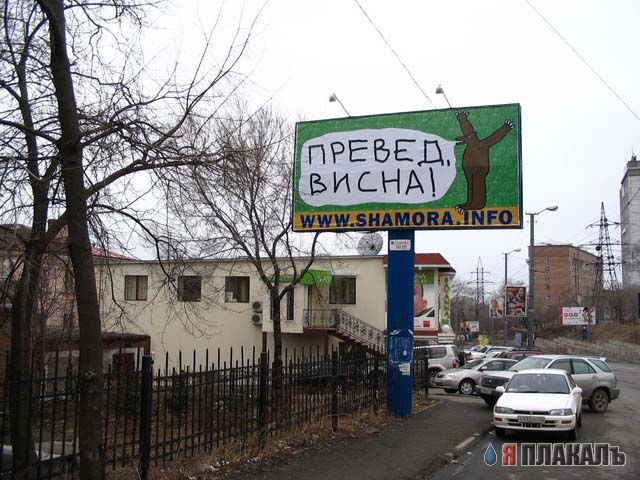 Превед медвед!