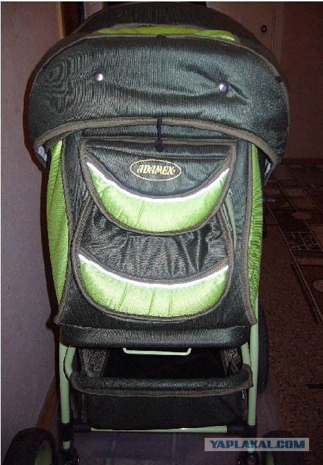 Они живые. Они смотрят на нас!