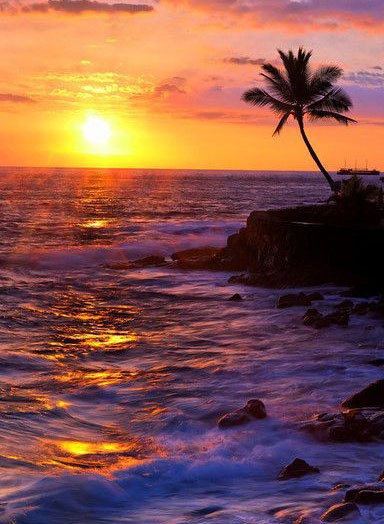 Интересные и веселые картинки