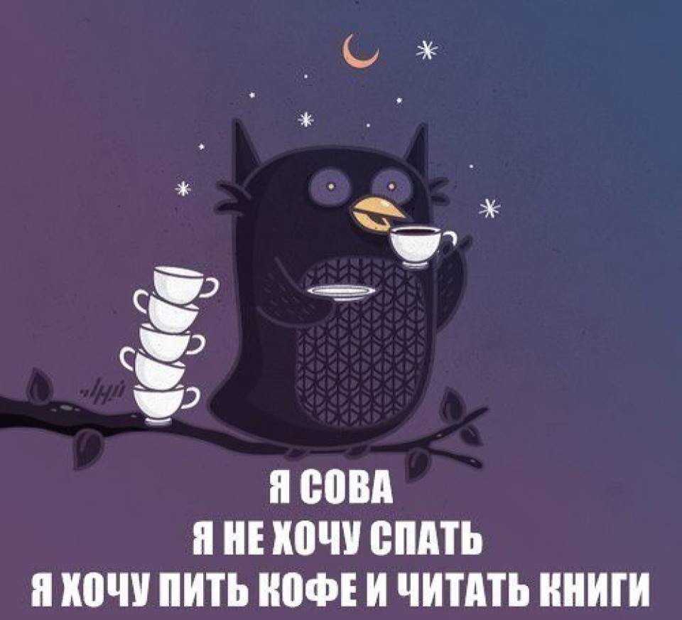 Сова никогда не спит играть
