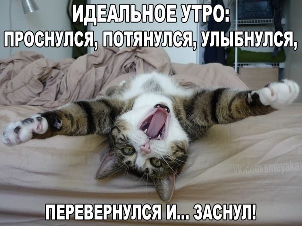 Подборка интересных и веселых фото