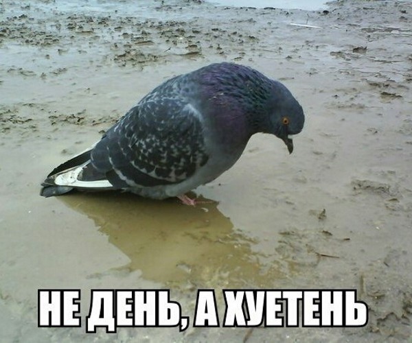 Небольшая подборка разного из сети.