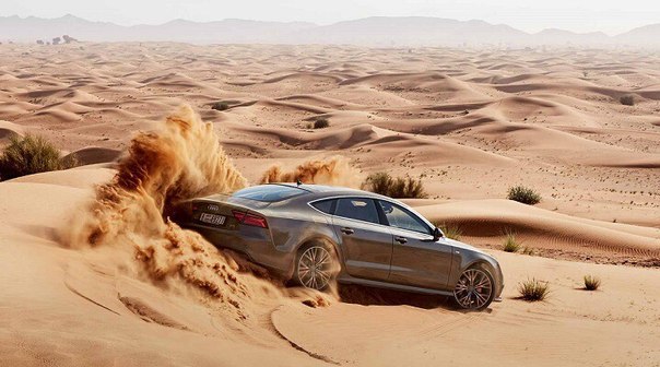 Картинки и приколы из сети