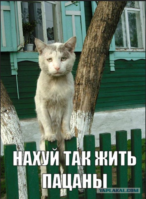 Как я узнал, что жена мне изменяет