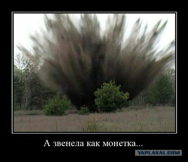 Загадочная воронка в лесу и редкая находка