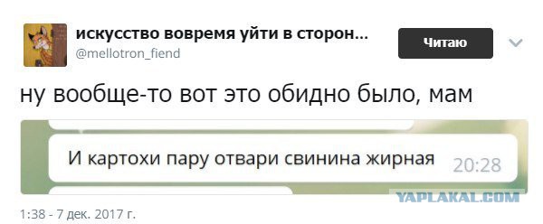 Смешные комментарии из социальных сетей 15.12.2017