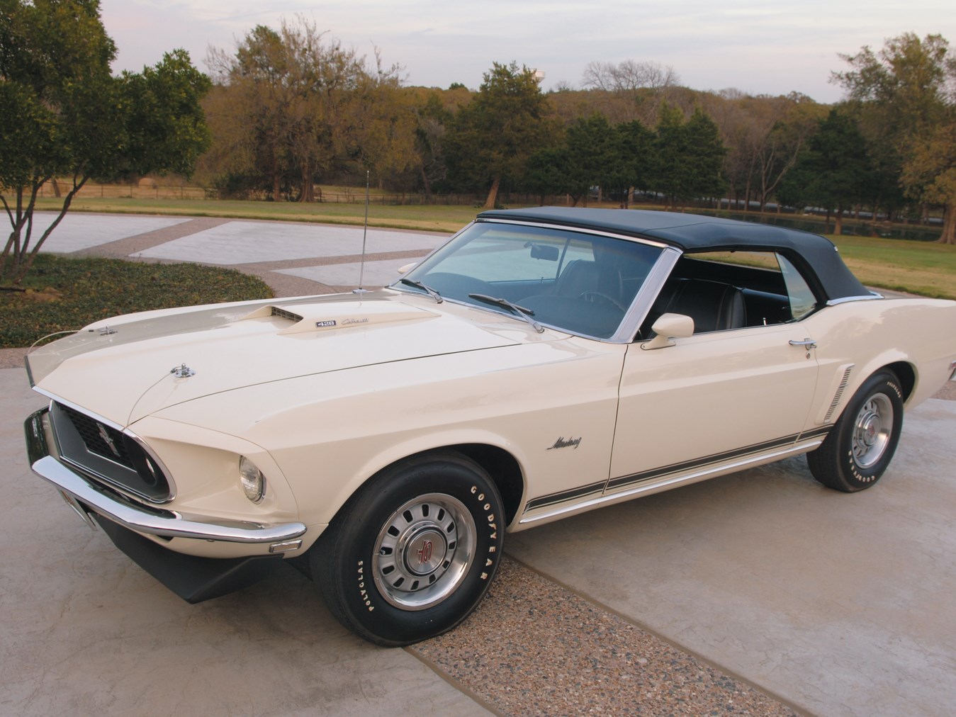 Ford Cobra Jet