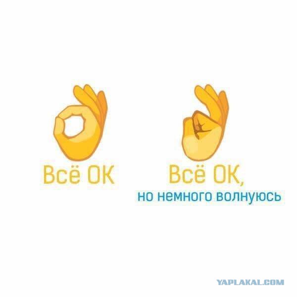 Чудики из социальных сетей