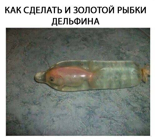 Примеры упаковки, создателей которой хочется взять и уволить