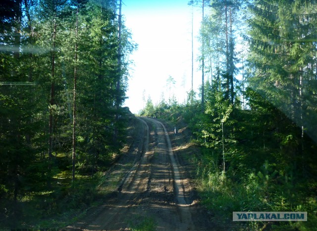 Красота сельских дорог