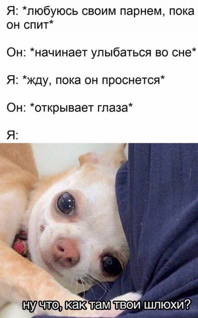 13346233.jpg