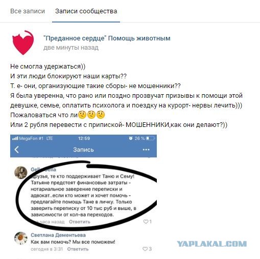 Помогите вернуть кота! Приют "Преданное сердце" украл кота и не отдает!