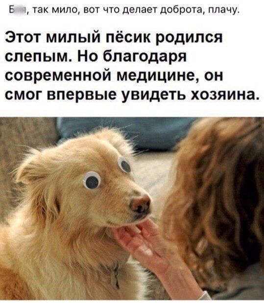 Чавкнула бездна