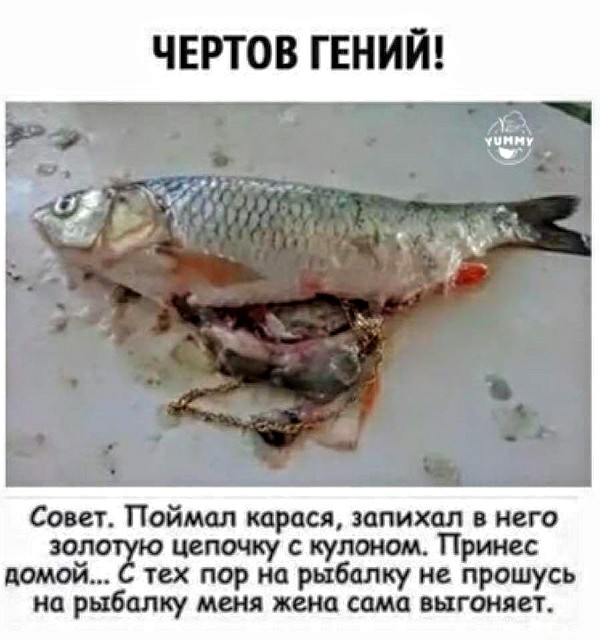 Немного картинок для настроения 23.07.20