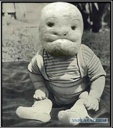 Фотожаба: И все таки они точно среди нас