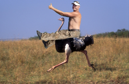 Фотожаба: На пеньке