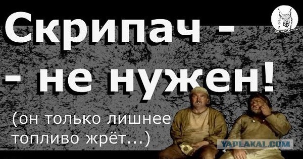 Собянин прокомментировал обязательную вакцинацию в сфере услуг Москвы