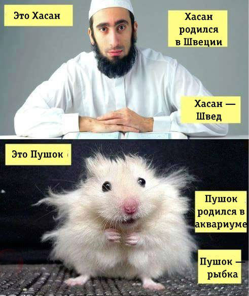 В Казахстане мамбеты приходят в магазины и заставляют русских продавцов говорить на казахском