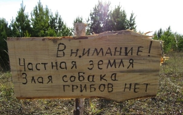 Так себе картинки 24.08.21