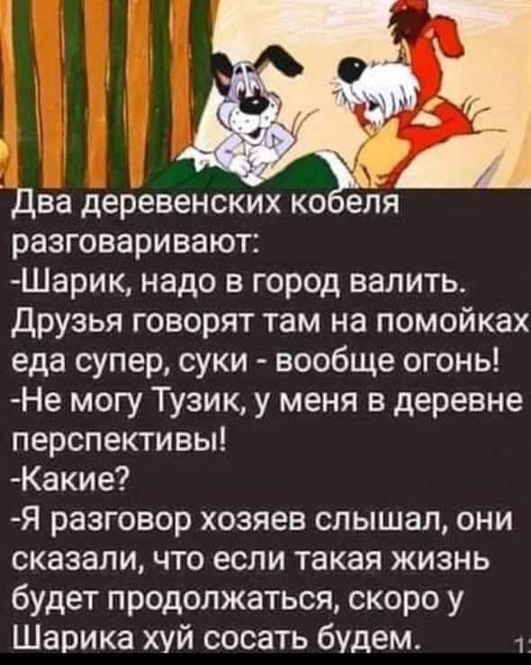 Аморальная деградация