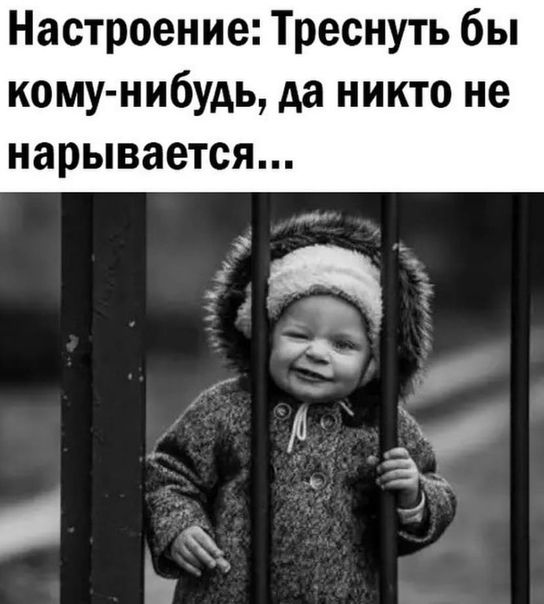 Картинки обо всём 04.02.22