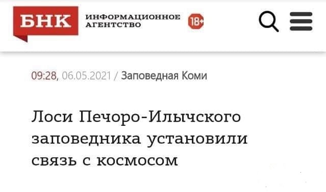 Забавные шутки и картинки из этих ваших интернетов 10.01.2023