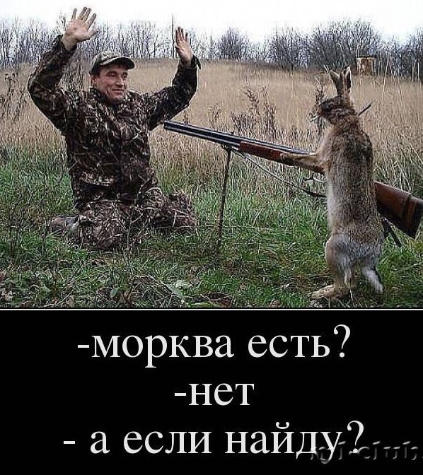 Как я стал охотником