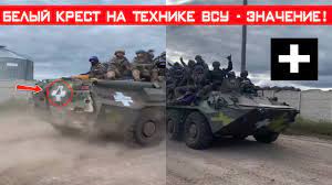 Первые леопарды прибыли