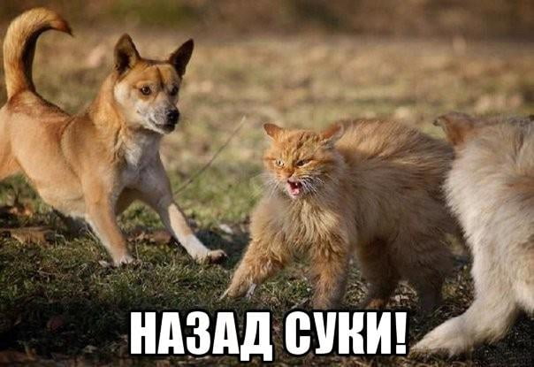 Так себе картинки 19.09.23