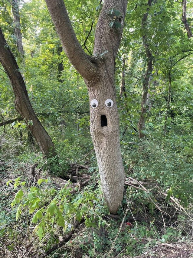 Уморные пикчи