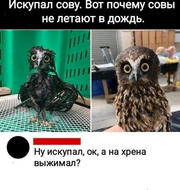 Приколы с налетом деградации в пятницу