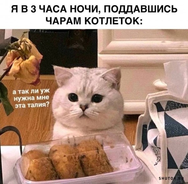 Тлидцать тли от 29 февлаля