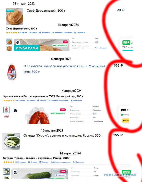 Депутат Журова о росте цен на продукты: «В последние время не было такого, чтобы мне кто-то из семьи жаловался на цены»