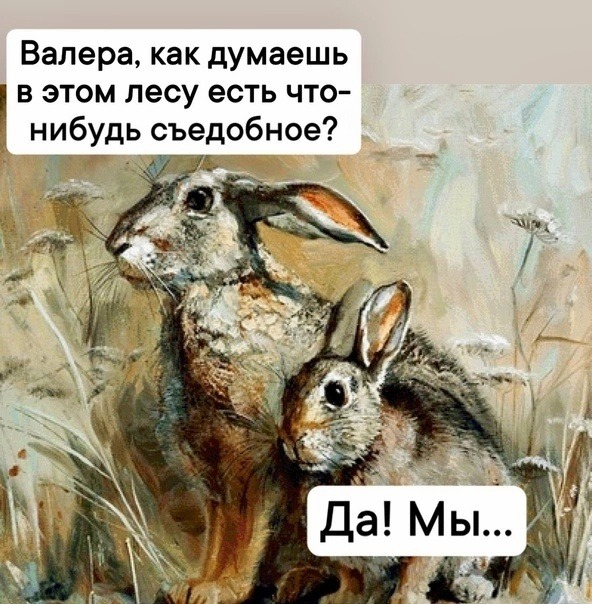 Нуштош 15.05.2024