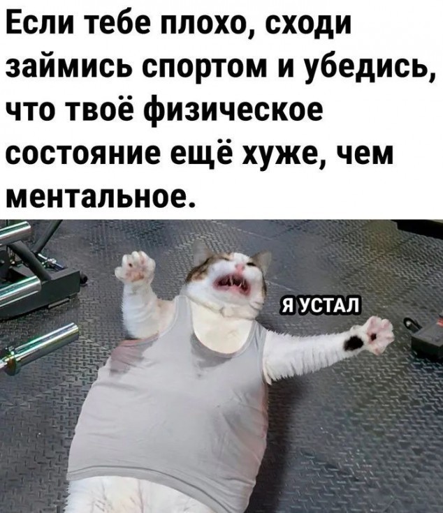 БаянЫ 2