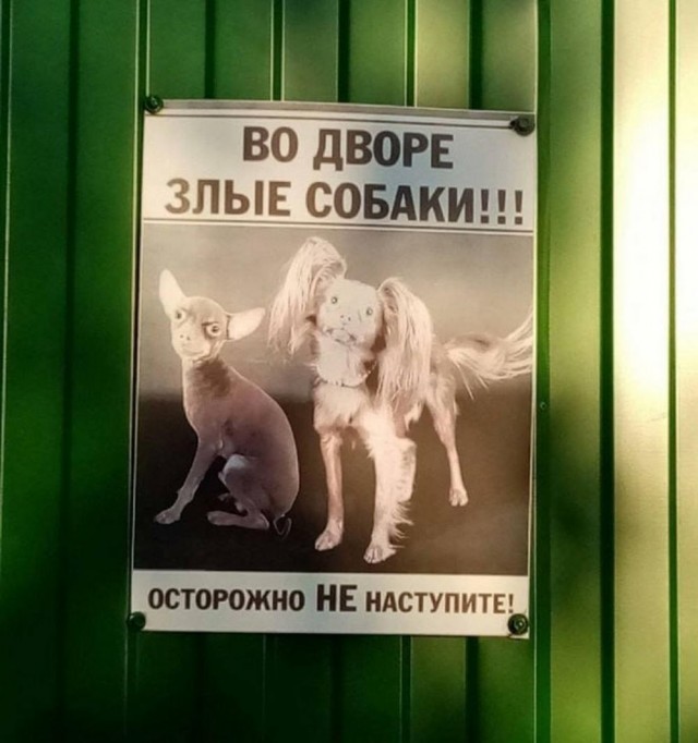 Завалялось тут случайно немного забавных картинок
