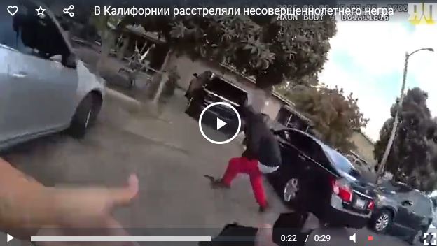 В Калифорнии расстреляли несовершеннолетнего негра после того как из его трусов выпал пистолет