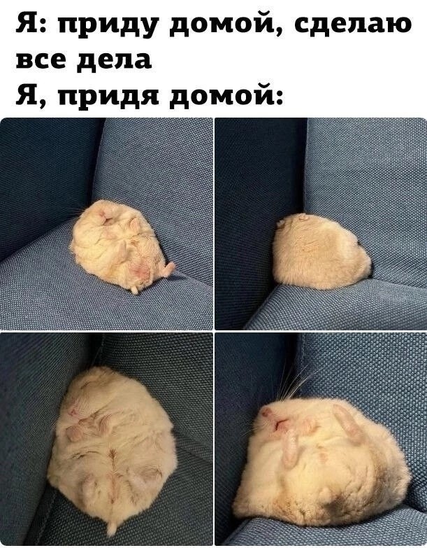 Вторника картинки
