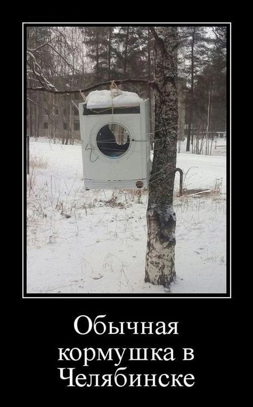 Воскресные картинки