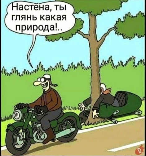 Картинки для деградации 208 (разной степени свежести)