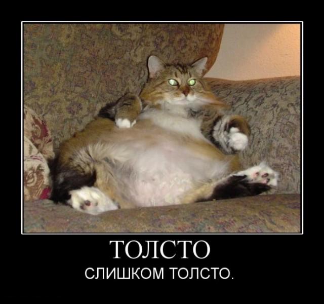 Да убери ты от меня эту гадость!