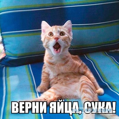 Облом так облом