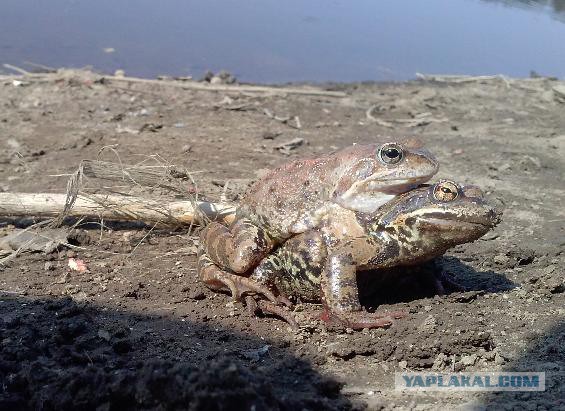 Скоро на всех водоёмах страны