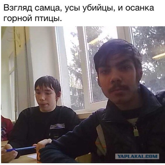 А чего добился ты!?